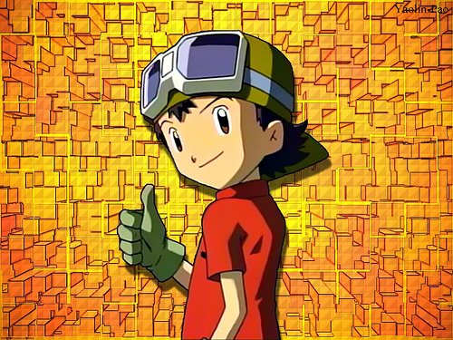 תמונה - 0 (3).jpg